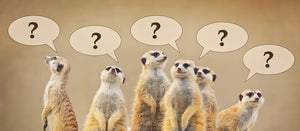 "Mahjong" or "Mah Jongg" — What's the Difference?